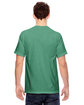 Comfort Colors Adult Heavyweight T-Shirt ISLAND GREEN ModelBack