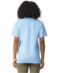 Comfort Colors Adult Heavyweight T-Shirt hydrangea ModelBack