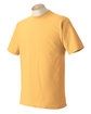 Comfort Colors Adult Heavyweight T-Shirt CITRUS OFFront