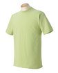 Comfort Colors Adult Heavyweight T-Shirt CELADON OFFront