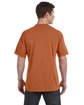 Comfort Colors Adult Midweight T-Shirt YAM ModelBack