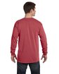 Comfort Colors Adult Heavyweight Long-Sleeve T-Shirt BRICK ModelBack