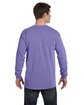 Comfort Colors Adult Heavyweight Long-Sleeve T-Shirt VIOLET ModelBack