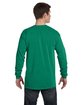 Comfort Colors Adult Heavyweight Long-Sleeve T-Shirt GRASS ModelBack