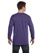 Comfort Colors Adult Heavyweight RS Long-Sleeve T-Shirt grape ModelBack