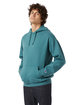 Champion Unisex Garment Dyed Hooded Sweatshirt cactus ModelQrt
