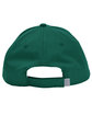 CORE365 Adult Pitch Performance Cap forest green ModelBack