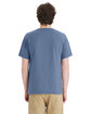 ComfortWash by Hanes Unisex T-Shirt saltwater ModelBack