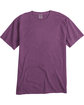 ComfortWash by Hanes Men's Garment-Dyed T-Shirt purple plm raisn FlatFront