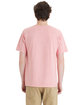 ComfortWash by Hanes Unisex Botanical Dye T-Shirt botanical rubia ModelBack