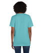 ComfortWash by Hanes Unisex Garment-Dyed T-Shirt with Pocket mint ModelBack