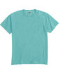 ComfortWash by Hanes Unisex Garment-Dyed T-Shirt with Pocket MINT FlatFront