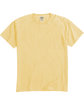 ComfortWash by Hanes Unisex Garment-Dyed T-Shirt with Pocket SUMMER SQUASH FlatFront