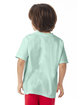 ComfortWash by Hanes Youth Garment-Dyed T-Shirt honeydew ModelBack