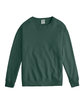 ComfortWash by Hanes Unisex Crew Sweatshirt FIELD GREEN OFFront