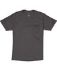 Hanes Men's Authentic-T Pocket T-Shirt smoke gray FlatFront