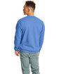 Hanes Unisex Ecosmart® 50/50 Crewneck Sweatshirt CAROLINA BLUE ModelBack