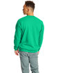 Hanes Unisex Ecosmart® 50/50 Crewneck Sweatshirt KELLY GREEN ModelBack