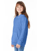 Hanes Youth 7.8 oz. EcoSmart® 50/50 Pullover Hooded Sweatshirt carolina blue ModelQrt