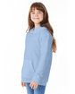 Hanes Youth 7.8 oz. EcoSmart® 50/50 Pullover Hooded Sweatshirt light blue ModelQrt