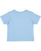 Rabbit Skins Toddler Cotton Jersey T-Shirt light blue ModelBack