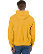 Champion Reverse Weave® Pullover Hooded Sweatshirt C GOLD ModelBack