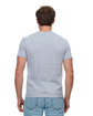 Threadfast Apparel Epic Unisex T-Shirt heather grey ModelBack